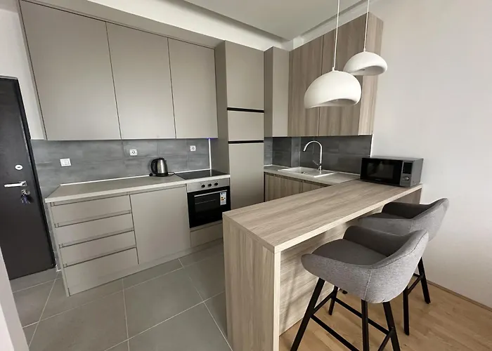 Center * 兹雷尼亚宁