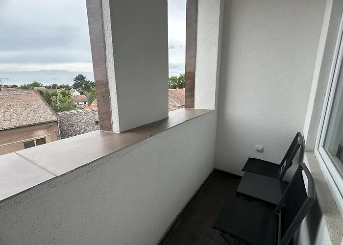 Center * 兹雷尼亚宁