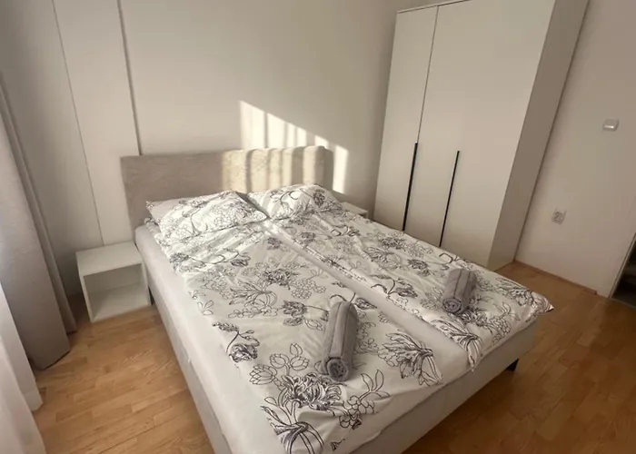 Center 兹雷尼亚宁